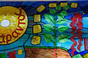 We have money left over for fish_2013_Marie Soffe_detail 5